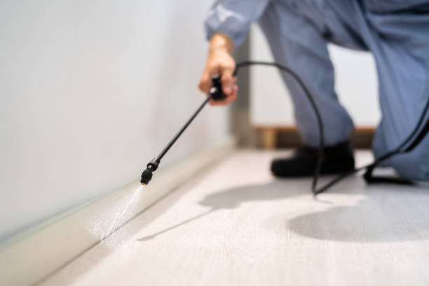 Certified termite inspector examining foundation in Huntsville